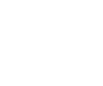 NOGNS hexagonal N mark
